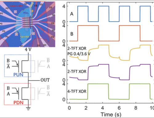 Paper on Cascaded Logic Gates Based on High-Performance Ambipolar Dual-Gate WSe2 Thin Film Transistors