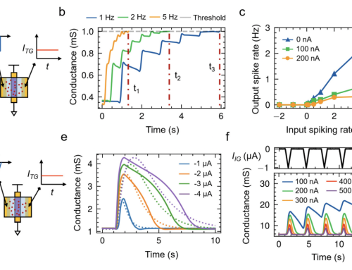 Paper on Graphene-Based Artificial Dendrites for Bio-Inspired Learning in Spiking Neuromorphic Systems