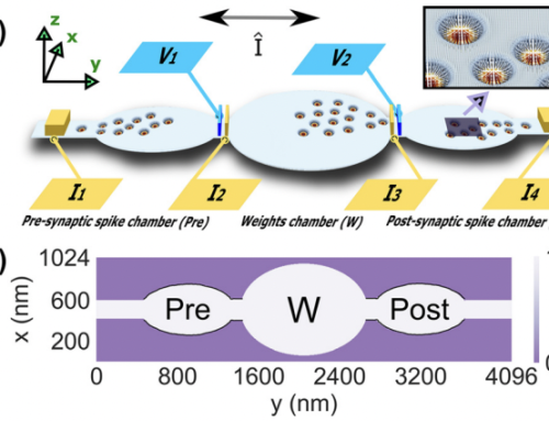 Paper on Tunable Spike-Timing-Dependent Plasticity in Magnetic Skyrmion Manipulation Chambers