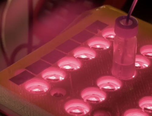 KXAN local news coverage!